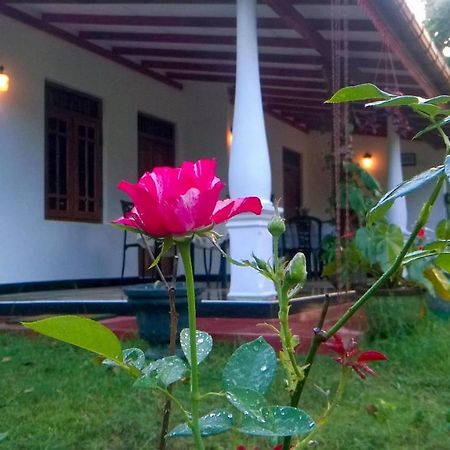 Danara Homestay Sigiriya Esterno foto