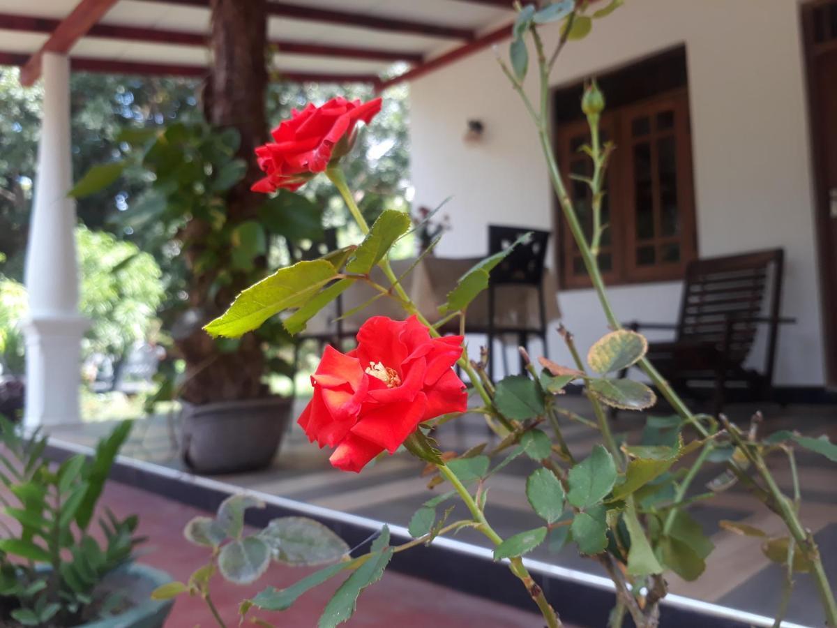 Danara Homestay Sigiriya Esterno foto