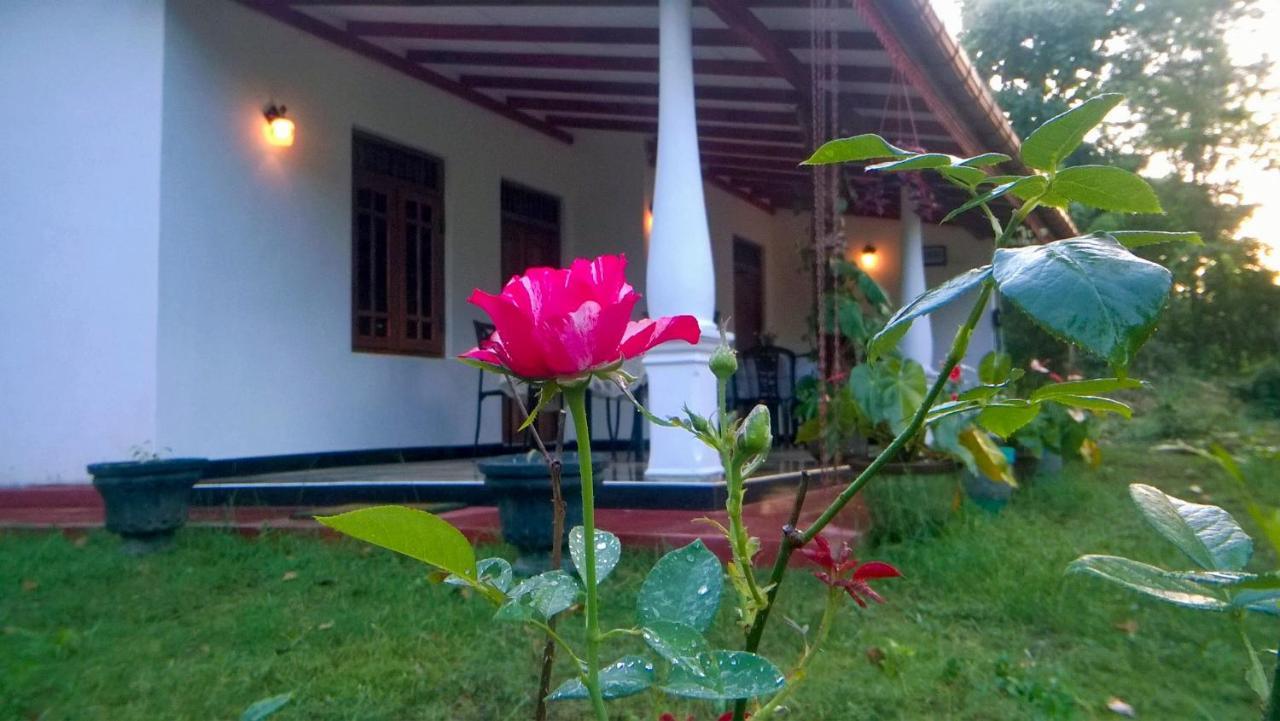 Danara Homestay Sigiriya Esterno foto